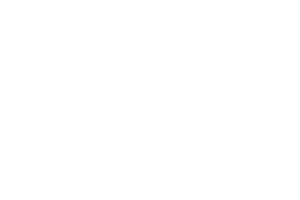 Stock Images/ Videos / Vectors